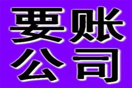 鼎湖清债公司